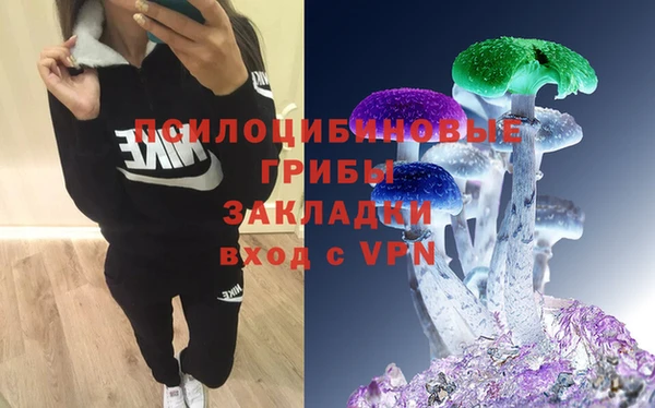 бутират Арсеньев