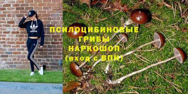 мдма Богородицк